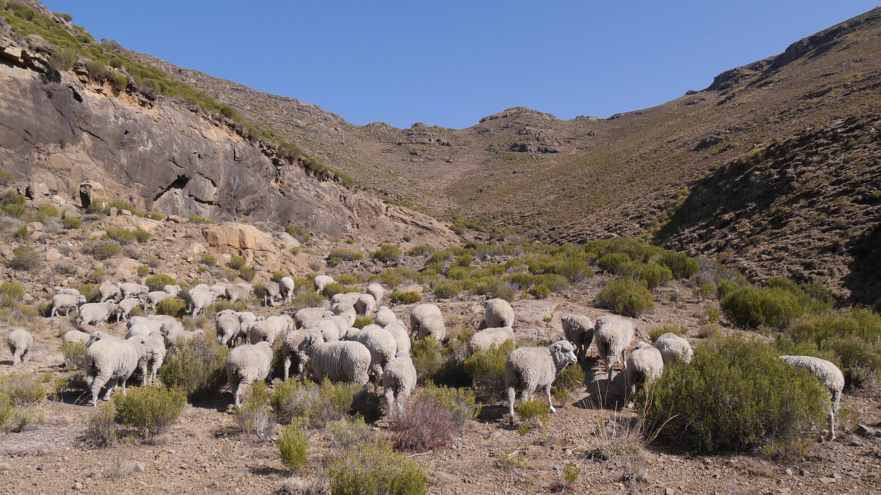 东岳泰山，华夏大地的地理坐标与千年传奇  东岳泰山在哪