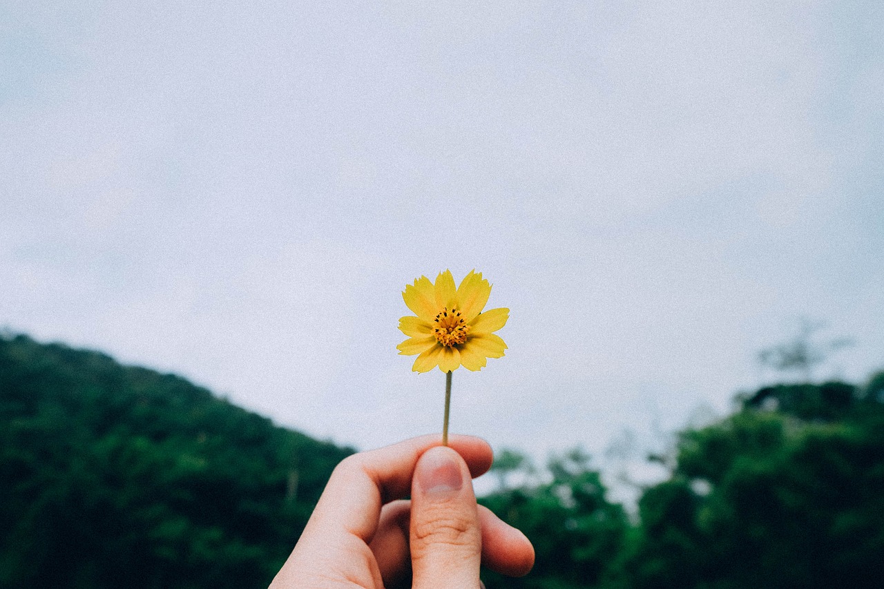 七天乐，生活的旋律与快乐的节拍  七天乐