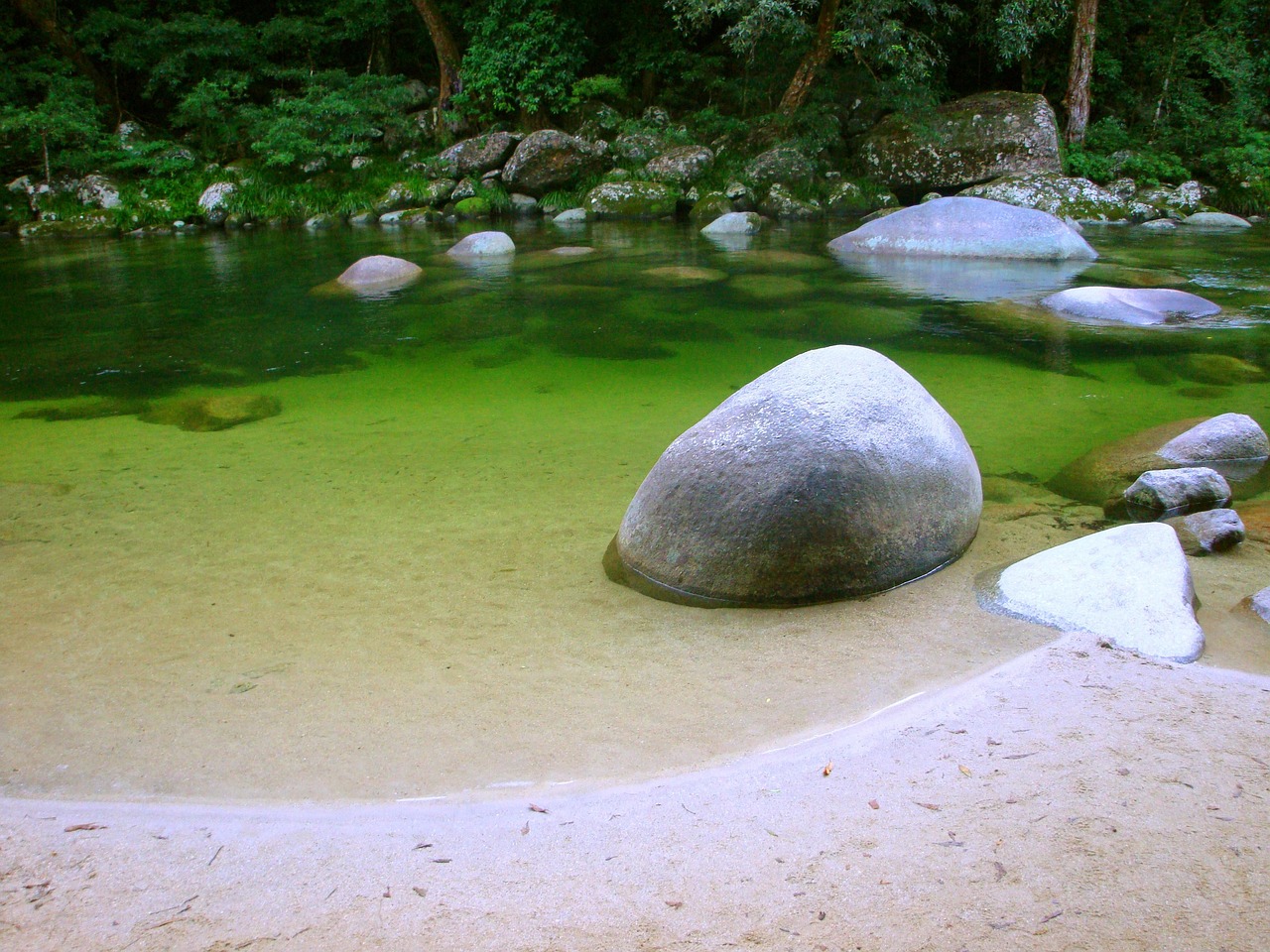 河中巨怪全集，揭秘神秘水生生物的世界  河中巨怪全集