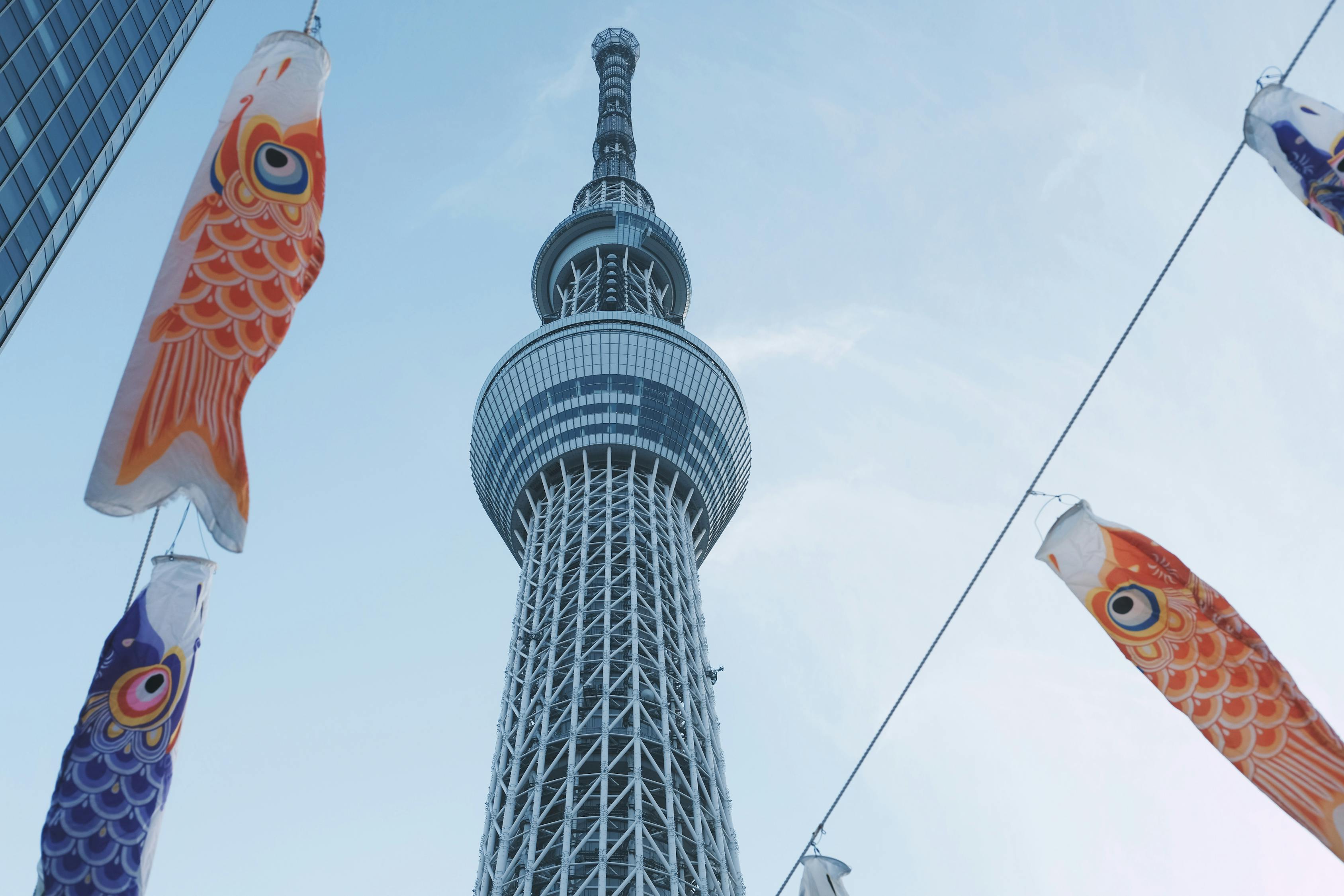 探索东京热，一部跨越文化与时代的经典全集  tokyo hot全集