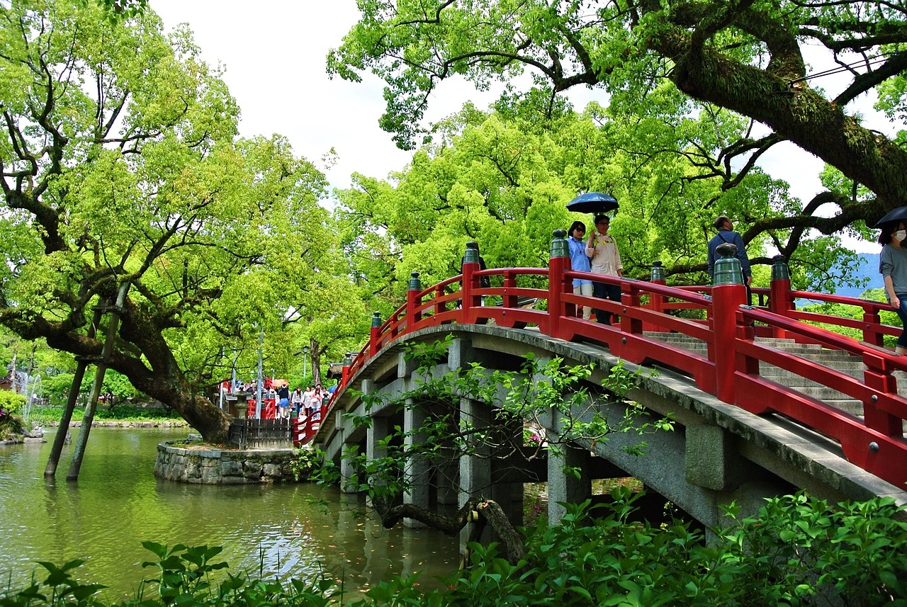 上海与九寨沟，繁华都市与人间仙境的交融  上海 九寨沟